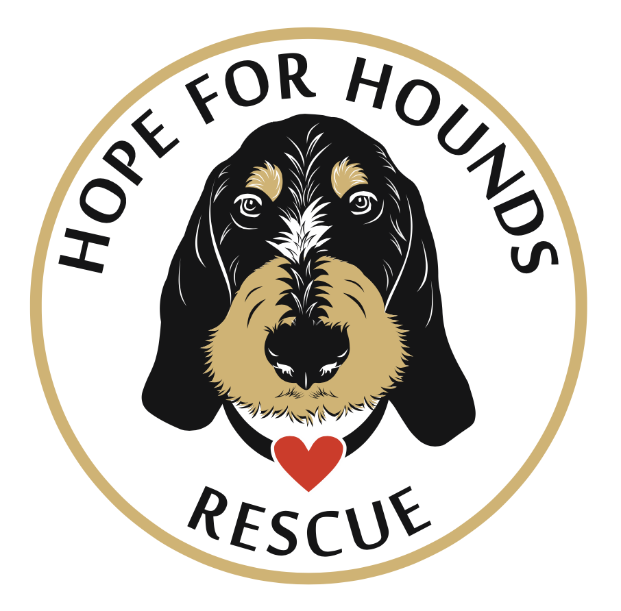 Hope For Hounds Rescue